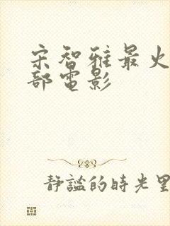 宋智雅最火的三部电影