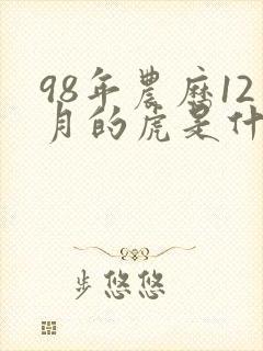 98年农历12月的虎是什么命