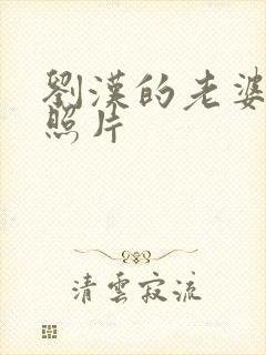 刘汉的老婆杨雪照片