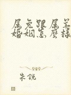 属兔跟属羊以后婚姻怎么样