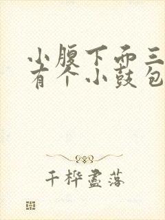 小腹下面三角区有个小鼓包