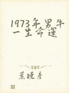 1973年男牛一生命运