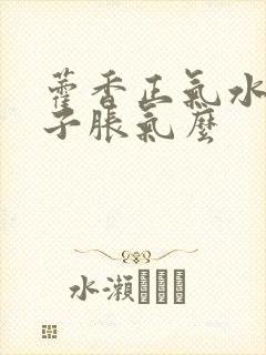 藿香正气水治肚子胀气么封面