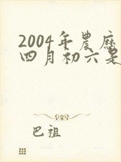 2004年农历四月初六是什么星座