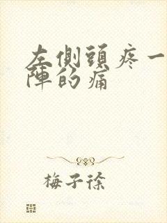 左侧头疼一阵一阵的痛封面