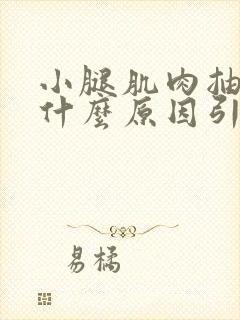 小腿肌肉抽筋是什么原因引起的封面