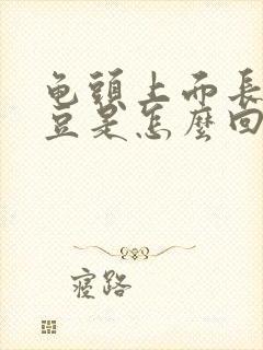 龟头上面长小豆豆是怎么回事