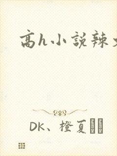 高h小说辣文封面