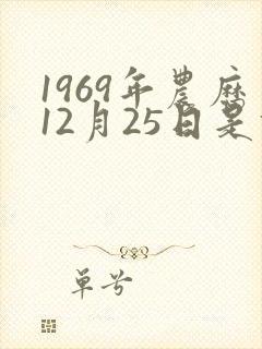 1969年农历12月25日是什么命