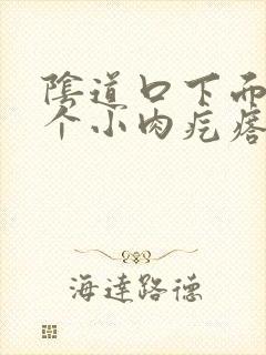 阴道口下面有一个小肉疙瘩