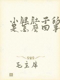 小腿肚子的筋疼是怎么回事