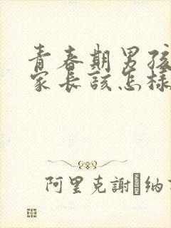 青春期男孩叛逆家长该怎样做封面