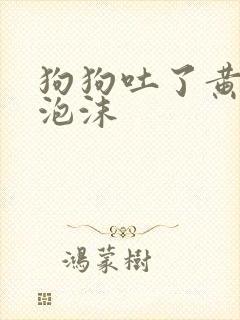 狗狗吐了黄水白泡沫封面