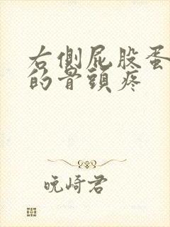 右侧屁股蛋里面的骨头疼