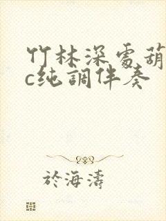 竹林深处葫芦丝c纯调伴奏