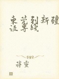 东莞到新疆的物流专线