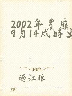 2002年农历9月14戍时出生男孩命运如何
