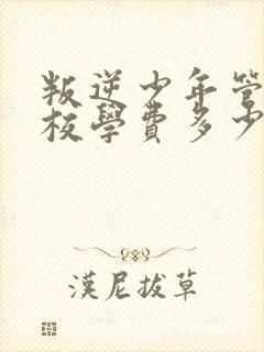 叛逆少年管教学校学费多少