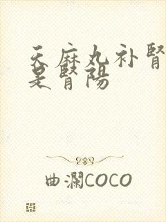 天麻丸补肾阴还是肾阳