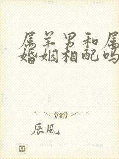 属羊男和属龙女婚姻相配吗