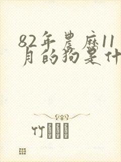 82年农历11月的狗是什么命封面