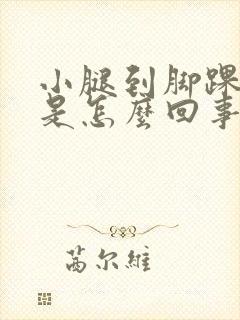 小腿到脚踝浮肿是怎么回事