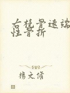 右桡骨远端粉碎性骨折