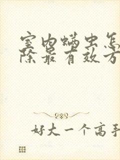 室内螨虫怎么去除最有效方法