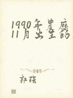 1990年农历11月出生的马命运怎样