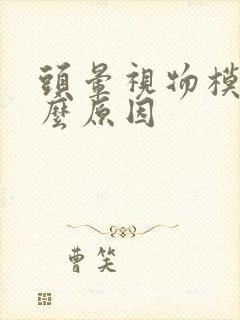 头晕视物模糊什么原因