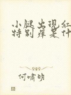 小腿出现红点,特别痒是什么原因