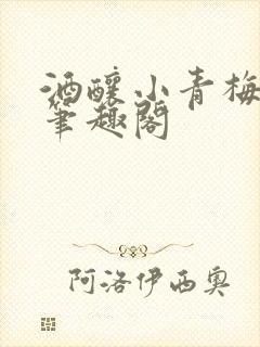 酒酿小青梅po笔趣阁