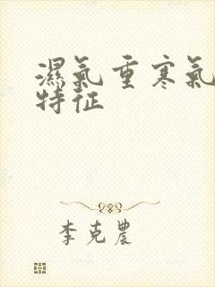 湿气重寒气大的特征