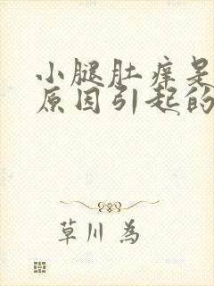 小腿肚痒是什么原因引起的封面