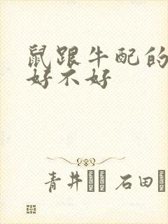 鼠跟牛配的婚姻好不好