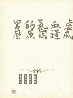 男的气血虚是什么原因造成的封面