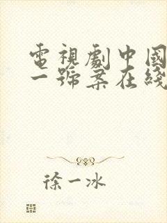 电视剧中国刑侦一号案在线观看免费完整版封面