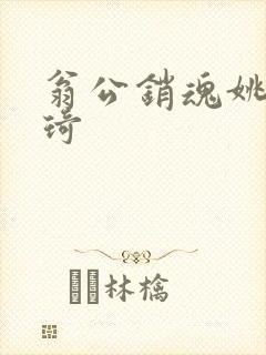 翁公销魂姚瑶琦琦