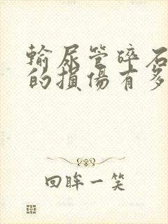 输尿管碎石对肾的损伤有多大