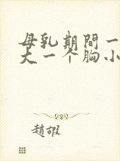 母乳期间一个胸大一个胸小怎么办封面