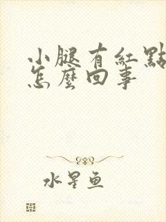 小腿有红点点是怎么回事封面