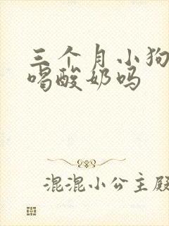 三个月小狗可以喝酸奶吗