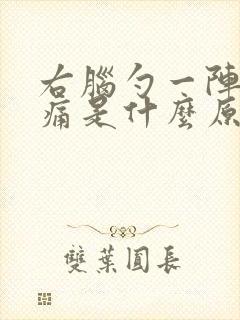 右脑勺一阵一阵痛是什么原因封面