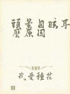 头晕目眩耳鸣什么原因