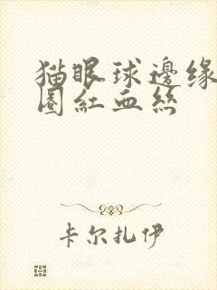 猫眼球边缘有一圈红血丝封面