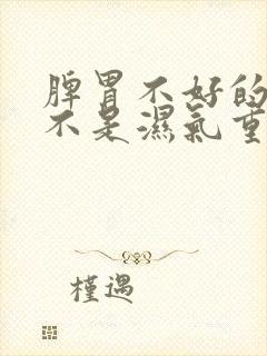 脾胃不好的人是不是湿气重