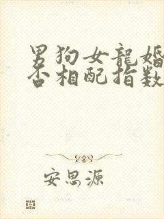 男狗女龙婚姻是否相配指数