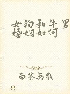 女狗和牛男相配婚姻如何