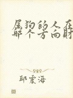 属狗的人在今年哪个方向财运好