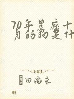 70年农历十一月的狗是什么命